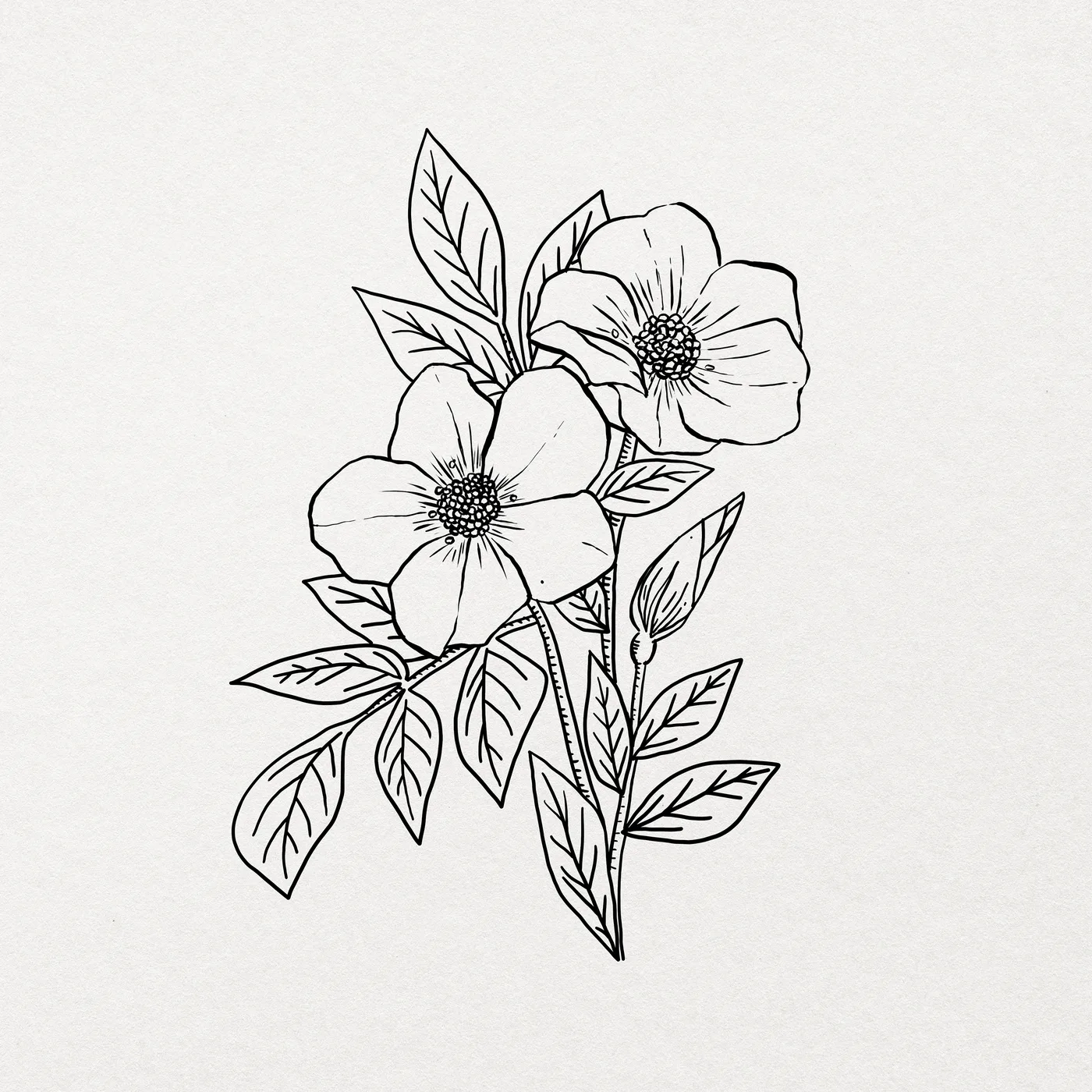 Square Aesthetic No. 54 — downloadable digital art print