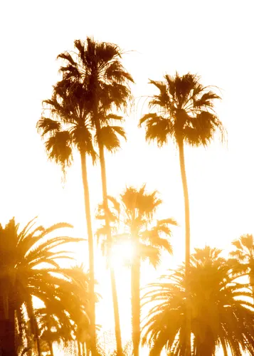 Beach No. 314 — downloadable digital art print