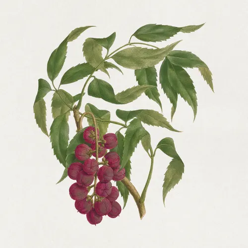 Aesthetic Art No. 650 — downloadable digital art print