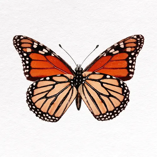 Aesthetic Art No. 994 — downloadable digital art print
