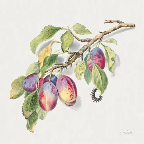 Aesthetic Art No. 465 — downloadable digital art print