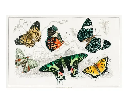 Aesthetic Art No. 1128 — downloadable digital art print
