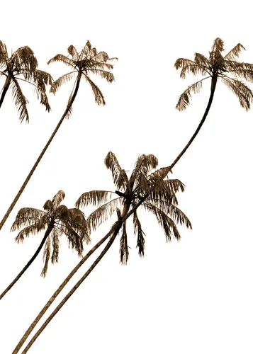 Beach No. 300 — downloadable digital art print
