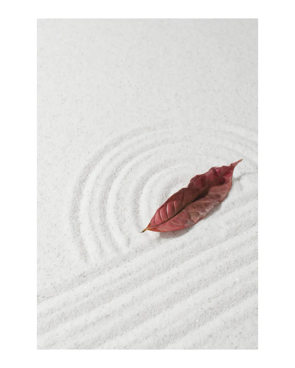 Trendy No. 408 — downloadable digital art print