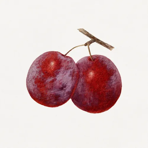 Aesthetic Art No. 574 — downloadable digital art print