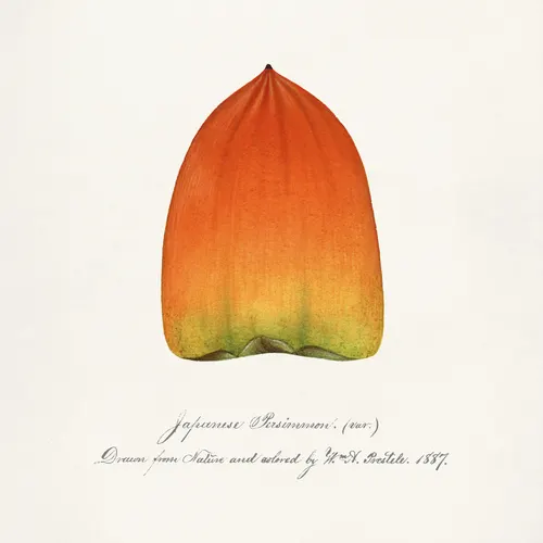 Aesthetic Art No. 470 — printable wall art