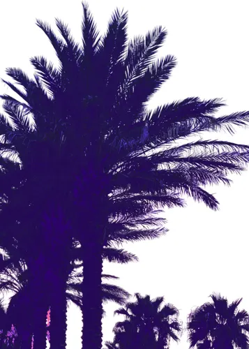 Beach No. 345 — downloadable digital art print