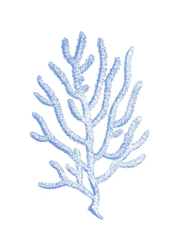 Beach No. 8 — downloadable digital art print