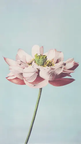 Trendy No. 470 — downloadable digital art print