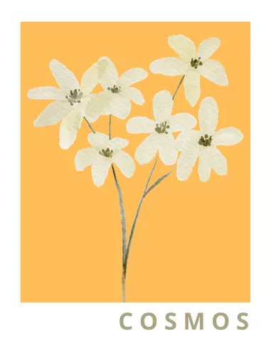 Aesthetic Art No. 772 — downloadable digital art print