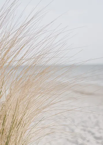 Beach No. 375 — downloadable digital art print