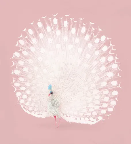 Aesthetic Art No. 192 — downloadable digital art print