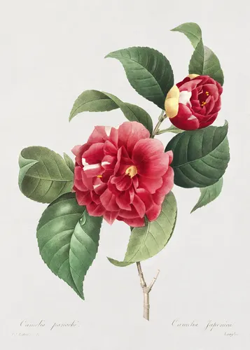 Aesthetic Art No. 424 — downloadable digital art print