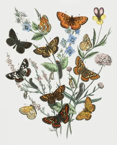 Aesthetic Art No. 787 — downloadable digital art print