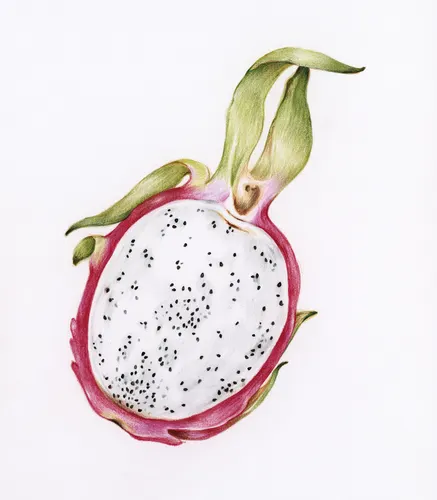 Aesthetic Art No. 680 — downloadable digital art print