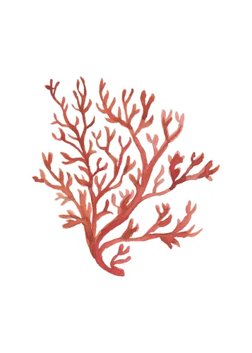 Beach No. 23 — downloadable digital art print