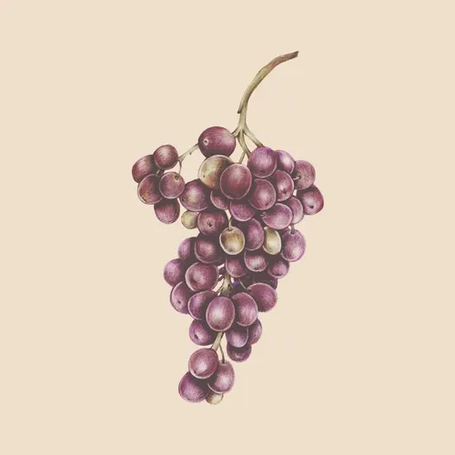 Aesthetic Art No. 684 — downloadable digital art print