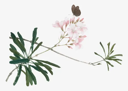 Aesthetic Art No. 215 — downloadable digital art print