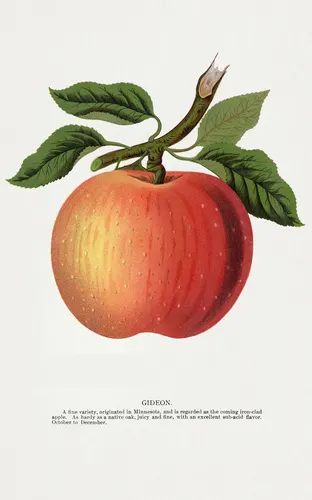 Aesthetic Art No. 545 — printable wall art