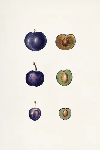 Aesthetic Art No. 329 — downloadable digital art print
