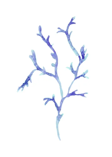 Beach No. 160 — downloadable digital art print