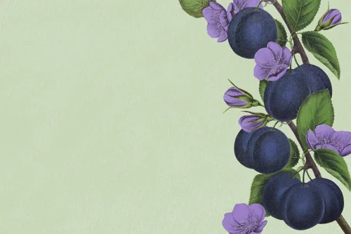 Aesthetic Art No. 60 — downloadable digital art print