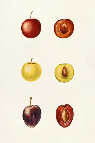 Kitchen No. 65 — downloadable digital art print