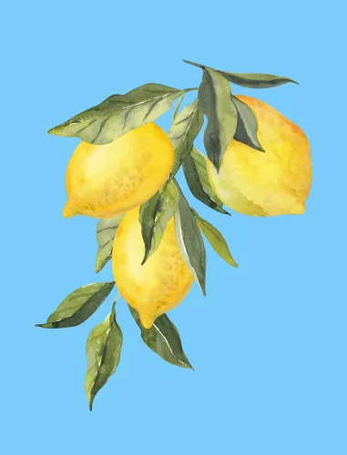 Fruit Art No. 49 — downloadable digital art print