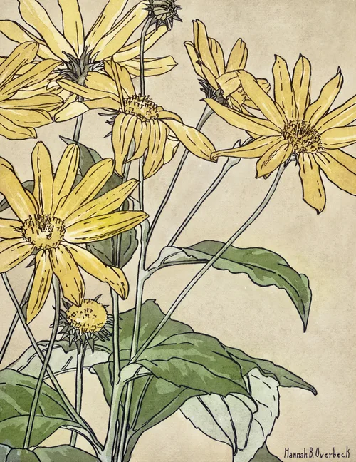 Spring No. 14 — downloadable digital art print