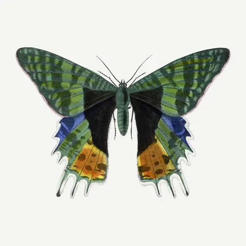 Square Aesthetic No. 206 — downloadable digital art print