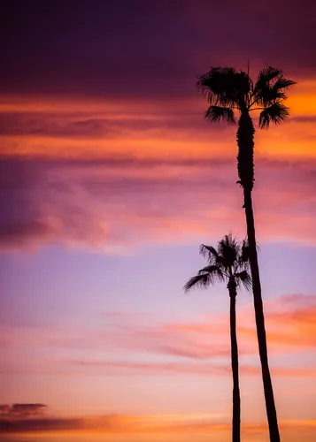 Beach No. 344 — downloadable digital art print