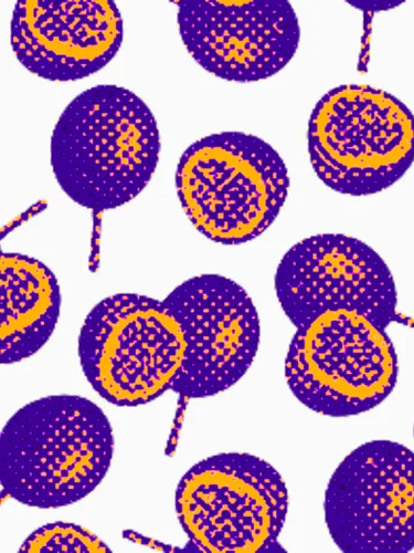 Fruit Art No. 41 — downloadable digital art print