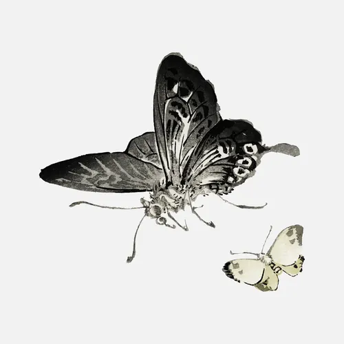 Aesthetic Art No. 1255 — downloadable digital art print