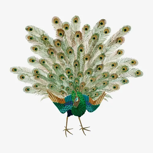 Aesthetic Art No. 1218 — downloadable digital art print