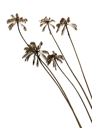 Beach No. 378 — downloadable digital art print