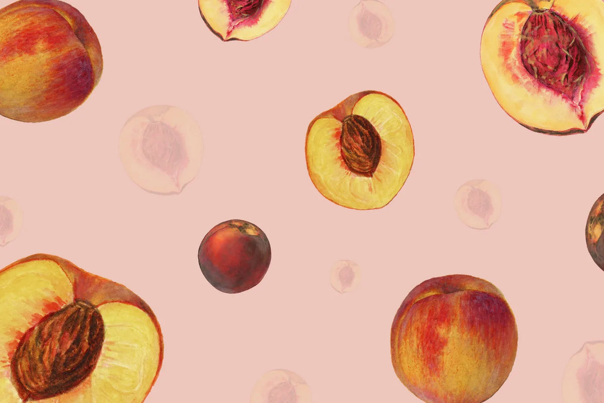 Aesthetic Art No. 375