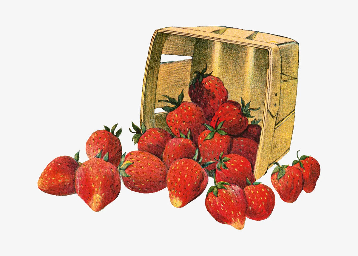Aesthetic Art No. 579