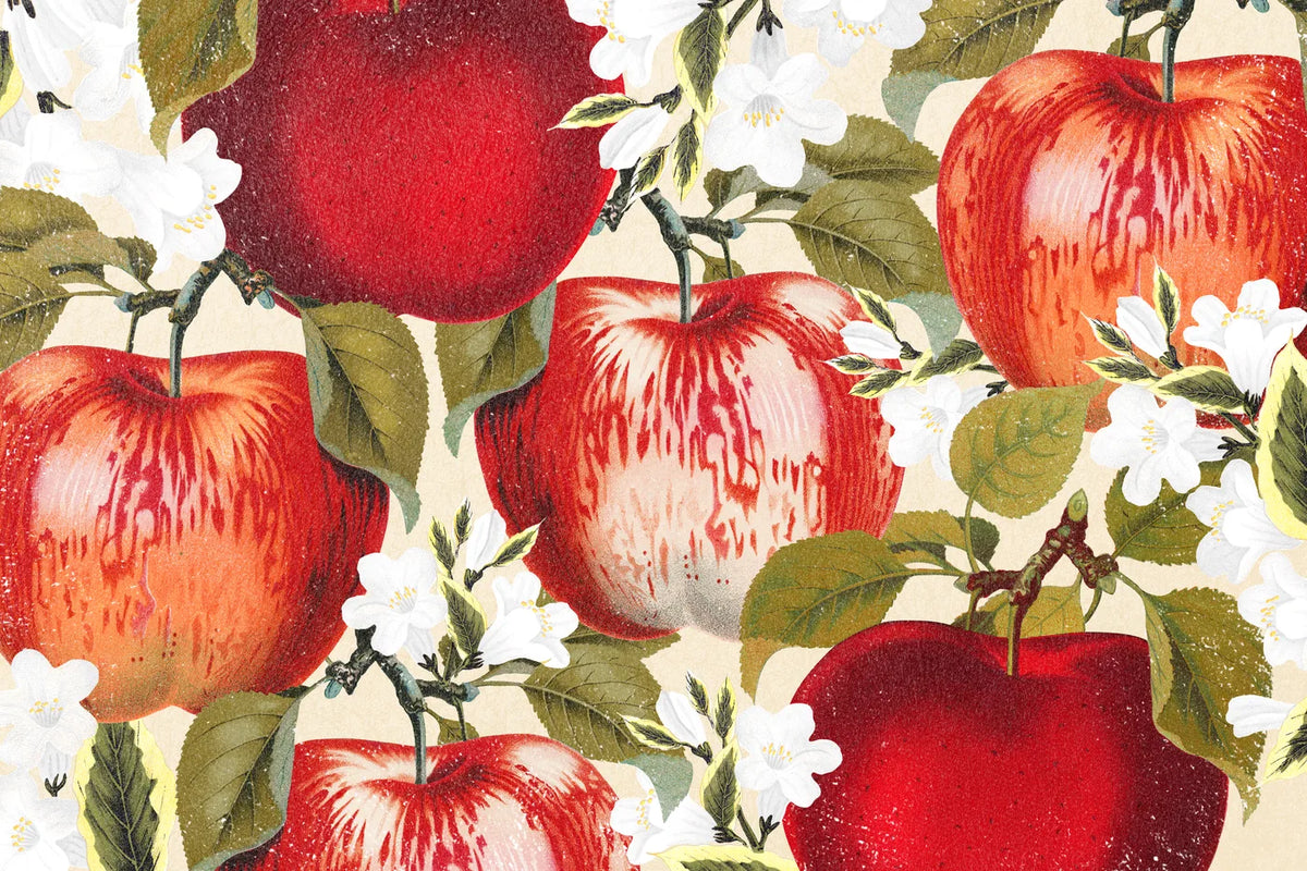 Aesthetic Art No. 694