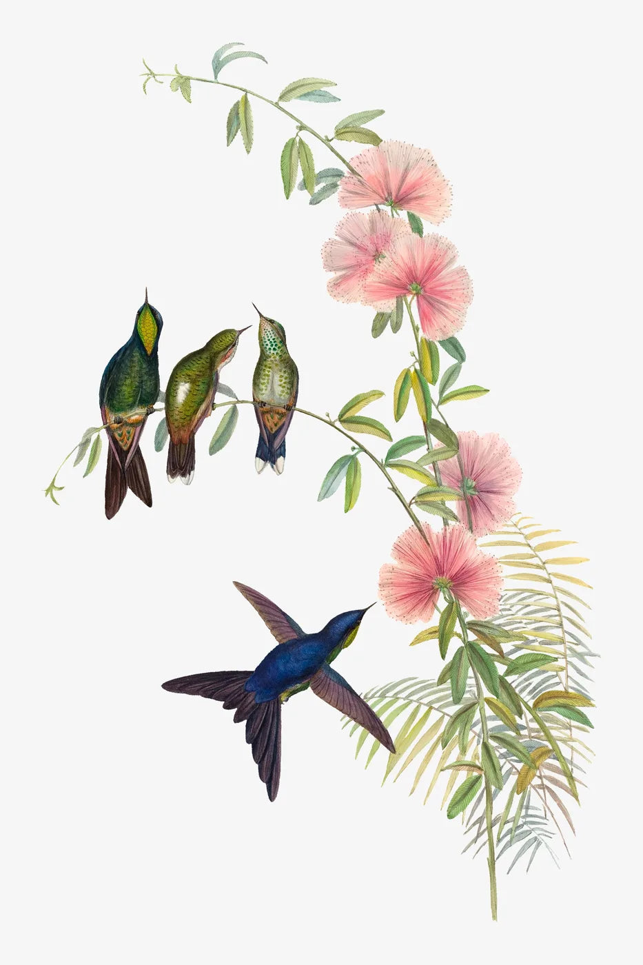 Aesthetic Art No. 805