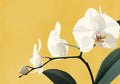 Flower Botanical No. 209