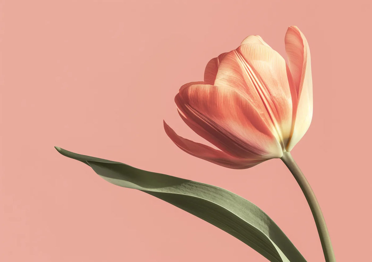 Flower Botanical No. 247