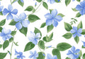Flower Botanical No. 276