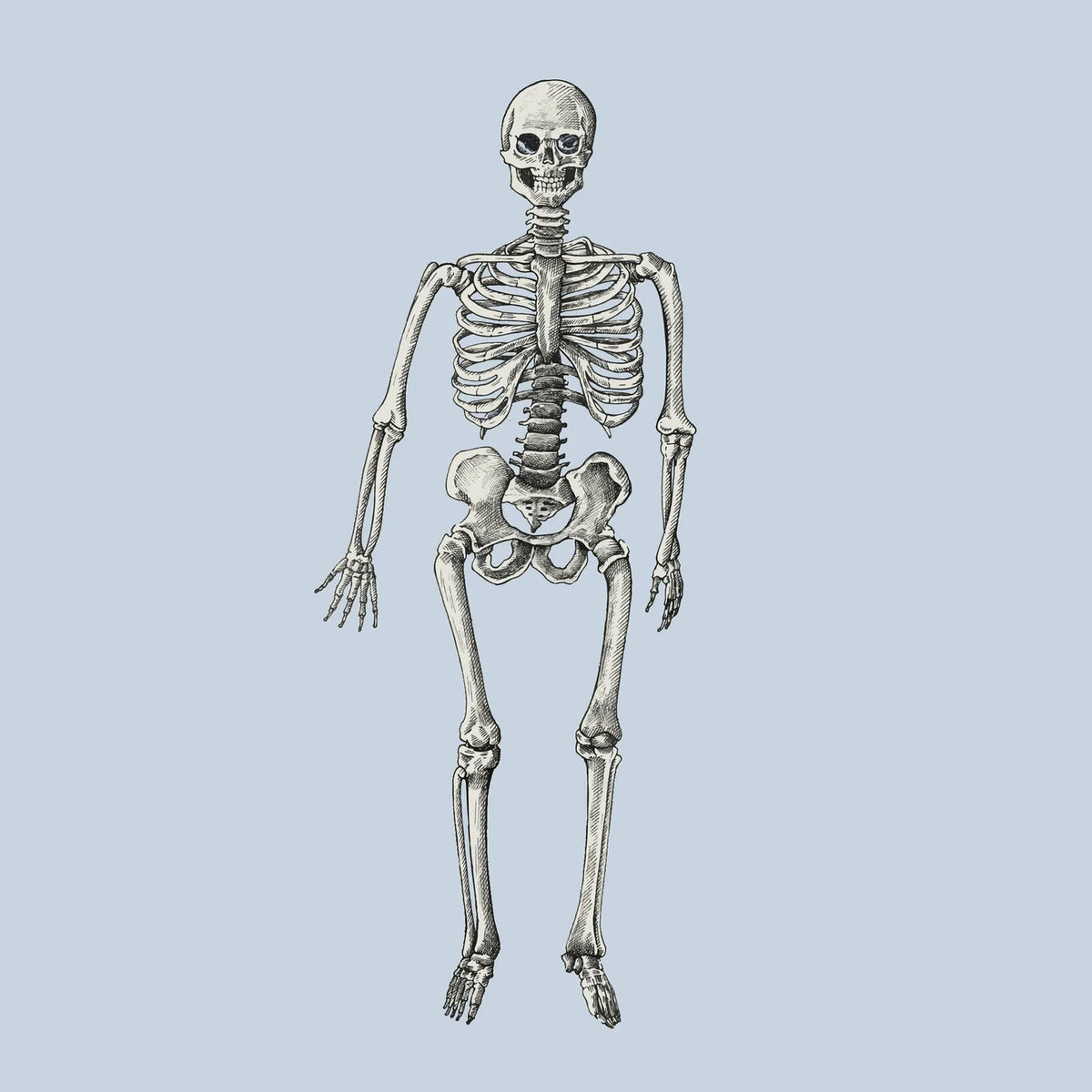 Halloween No. 42