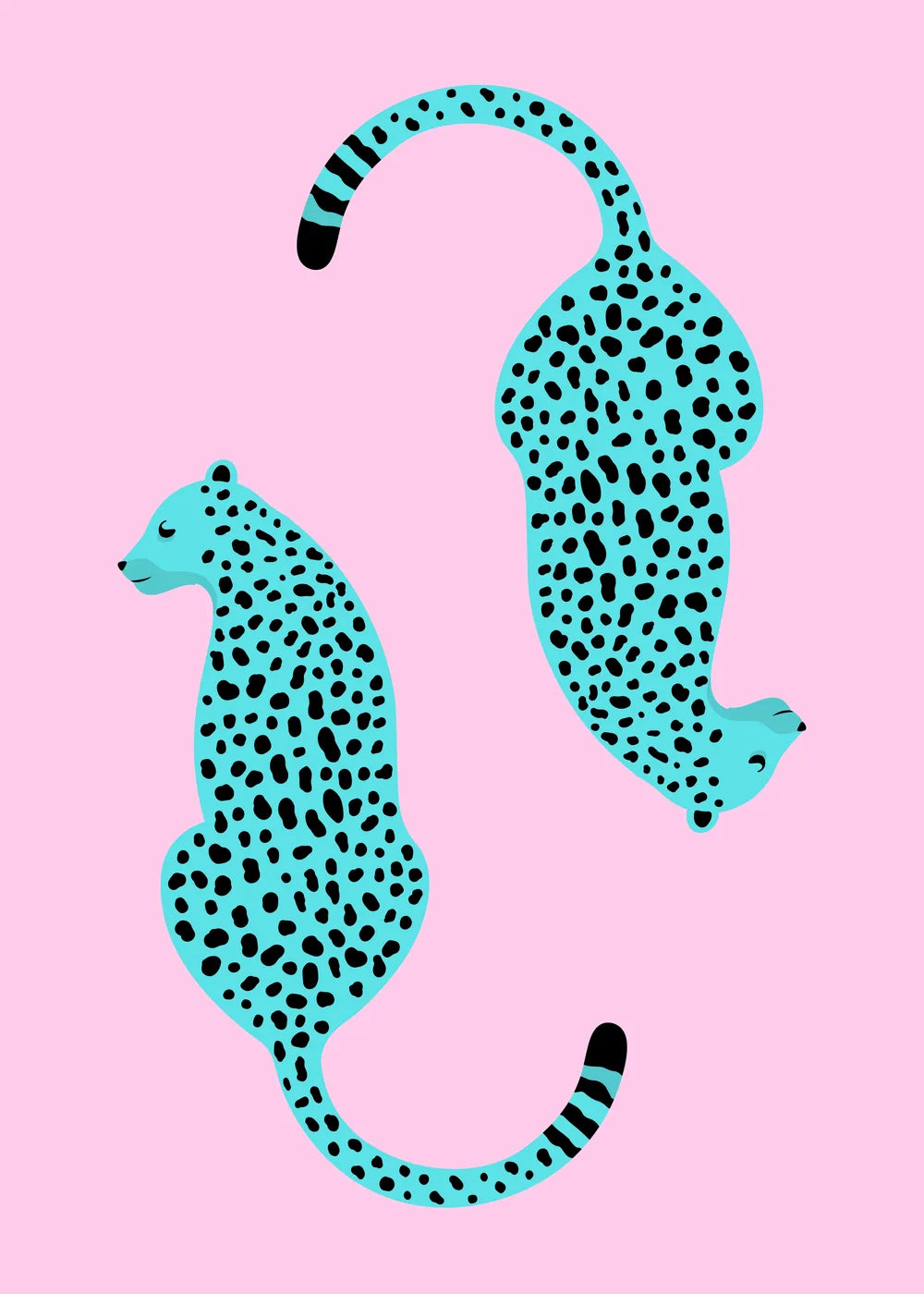Trendy No. 617